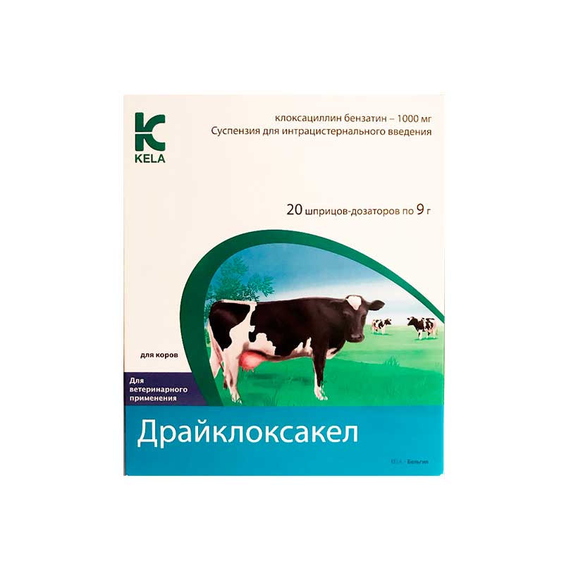 Драйклоксакел, антибактериальный препарат для интрацистернального введения